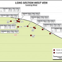 Hammer Zone - Long Section West Vein